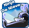 Ninja de Nive